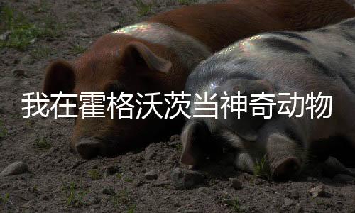 我在霍格沃茨當神奇動物大師