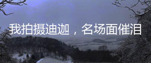 我拍攝迪迦，名場(chǎng)面催淚全網(wǎng)！