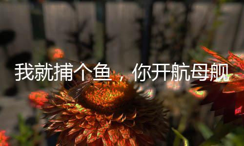 我就捕個(gè)魚，你開航母艦隊(duì)追我？