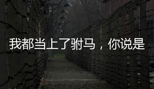 我都當(dāng)上了駙馬，你說是西游？