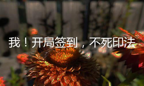 我！開(kāi)局簽到，不死印法滿級(jí)