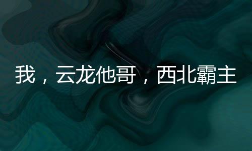 我，云龍他哥，西北霸主！