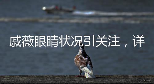 戚薇眼睛狀況引關(guān)注，詳細(xì)解析及最新消息