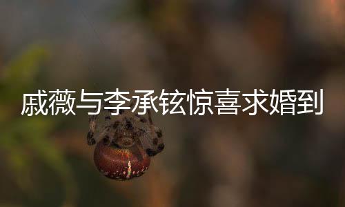 戚薇與李承鉉驚喜求婚到結(jié)婚，愛(ài)情長(zhǎng)跑終圓滿