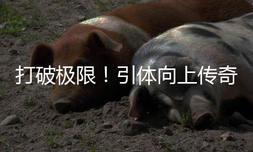 打破極限！引體向上傳奇，一位年輕女孩刷新世界紀(jì)錄！