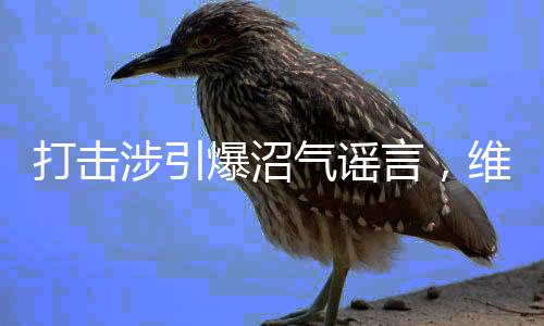 打擊涉引爆沼氣謠言，維護(hù)社會(huì)和諧穩(wěn)定