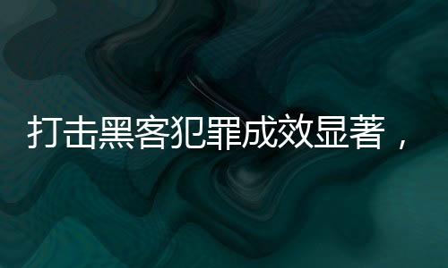 打擊黑客犯罪成效顯著，守護(hù)網(wǎng)絡(luò)安全的一二三四五六七八九十