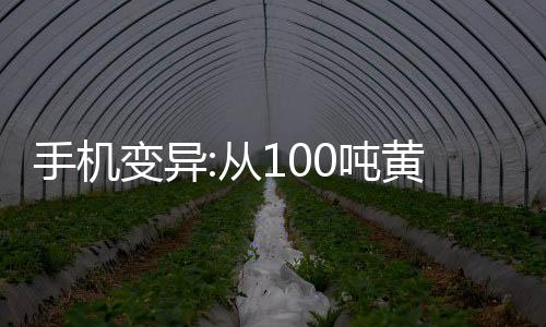 手機變異:從100噸黃金開始