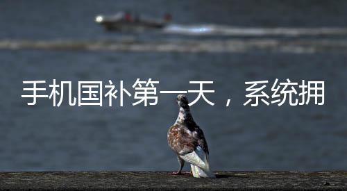手機(jī)國補(bǔ)第一天，系統(tǒng)擁堵至癱瘓，引發(fā)業(yè)界熱議
