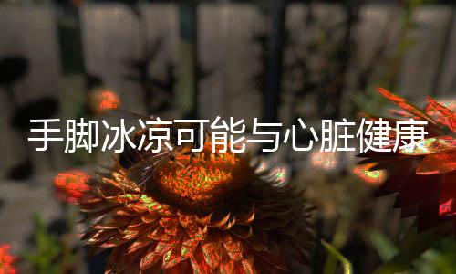 手腳冰涼可能與心臟健康有關(guān)，揭示原因及應(yīng)對措施