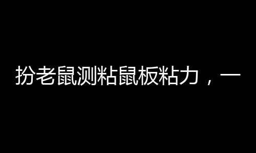 扮老鼠測粘鼠板粘力，一場別開生面的實驗之旅