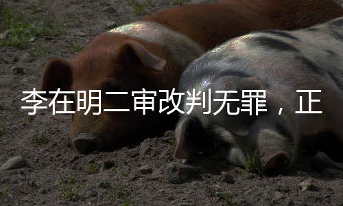 李在明二審改判無罪，正義的勝利還是法律的反思