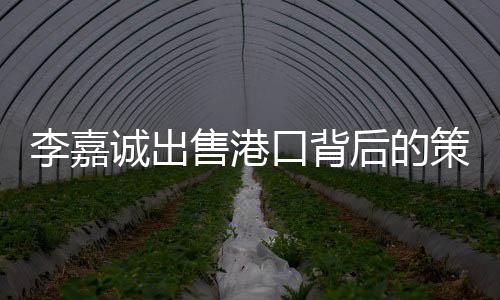 李嘉誠(chéng)出售港口背后的策略與考量——一個(gè)深度的經(jīng)濟(jì)觀察