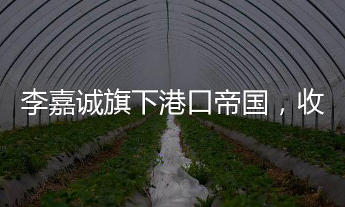 李嘉誠旗下港口帝國，收入概覽與商業(yè)版圖擴展