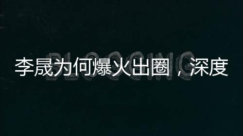 李晟為何爆火出圈，深度解析其成功之路