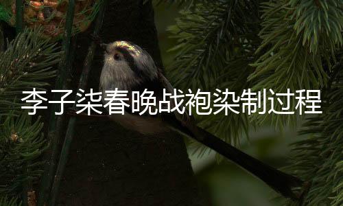 李子柒春晚戰(zhàn)袍染制過程揭秘，兩天匠心獨運，展現(xiàn)傳統(tǒng)文化魅力