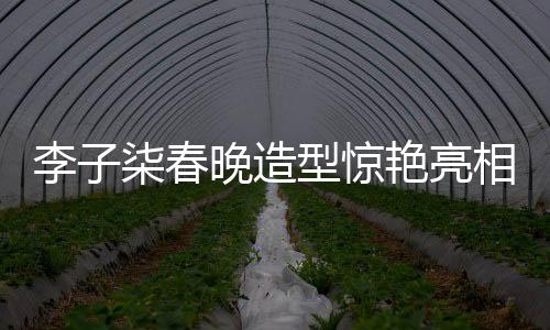 李子柒春晚造型驚艷亮相，融合濰坊風(fēng)箏技藝展現(xiàn)傳統(tǒng)文化魅力