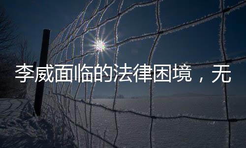 李威面臨的法律困境，無期或死刑的可能性探究