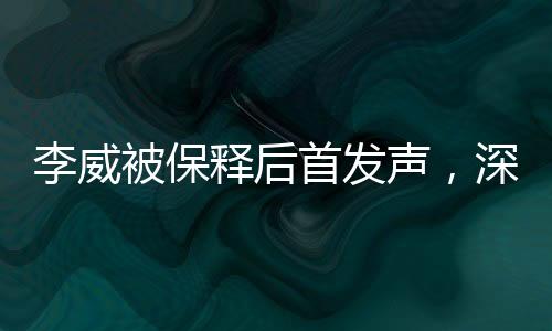 李威被保釋后首發(fā)聲，深度解讀其背后故事及未來展望