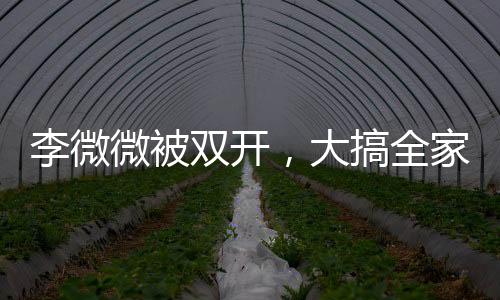 李微微被雙開，大搞全家腐的丑聞