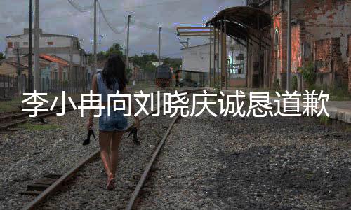 李小冉向劉曉慶誠懇道歉，背后故事引人深思