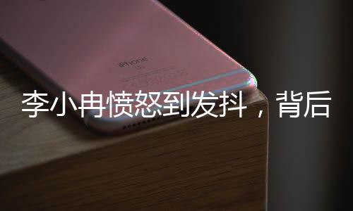 李小冉憤怒到發(fā)抖，背后的故事引人深思