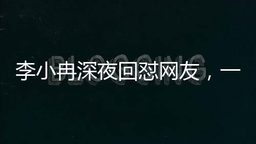 李小冉深夜回懟網(wǎng)友，一場深夜的言論風(fēng)暴與公眾人物的責(zé)任感