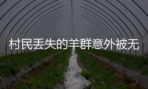 村民丟失的羊群意外被無人機找回，一段溫馨的人與自然和諧故事