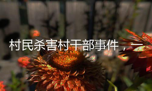 村民殺害村干部事件，一審被判死刑引發(fā)社會關(guān)注
