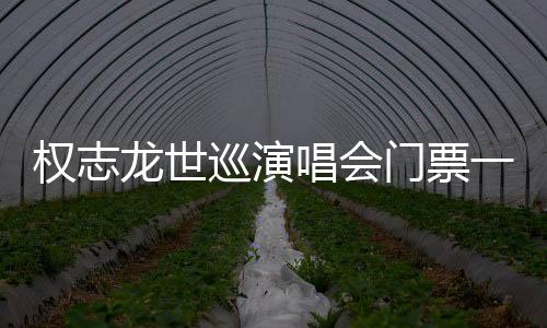 權(quán)志龍世巡演唱會門票一經(jīng)開放即售罄 同時(shí)在線人數(shù)達(dá)24萬
