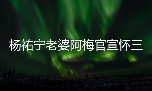 楊祐寧老婆阿梅官宣懷三胎，幸福家庭再添喜訊