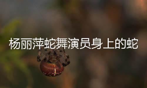 楊麗萍蛇舞演員身上的蛇鱗是特效化妝揭秘背后的藝術(shù)魔法
