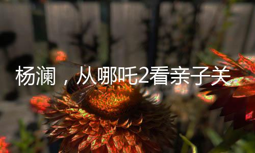 楊瀾，從哪吒2看親子關(guān)系
