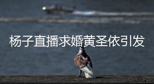 楊子直播求婚黃圣依引發(fā)爭(zhēng)議，現(xiàn)場(chǎng)被罵五分鐘