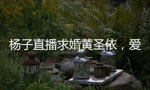 楊子直播求婚黃圣依，愛情見證時刻