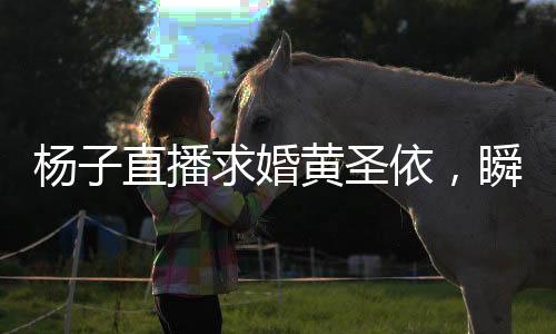 楊子直播求婚黃圣依，瞬間點燃社交媒體熱度的愛情見證儀式