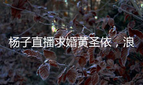 楊子直播求婚黃圣依，浪漫瞬間引發(fā)網(wǎng)友熱議