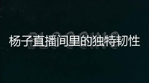 楊子直播間里的獨(dú)特韌性，即便家園已變，也要繼續(xù)直播賣貨