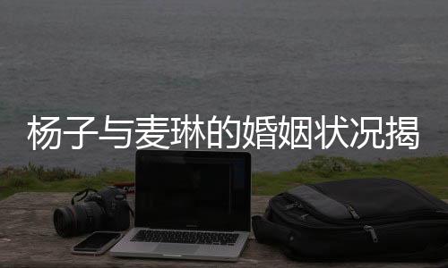 楊子與麥琳的婚姻狀況揭秘，傳聞中的離婚真相探究