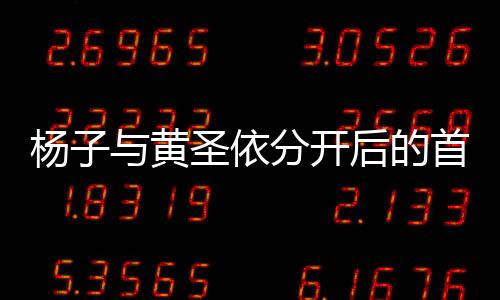 楊子與黃圣依分開后的首次同框，時光流轉，情感糾葛成焦點