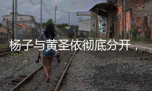 楊子與黃圣依徹底分開(kāi)，一段無(wú)疾而終的婚戀傳奇
