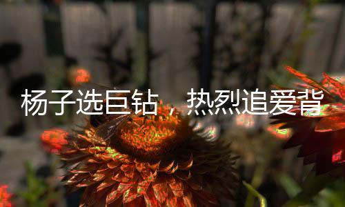 楊子選巨鉆，熱烈追愛背后的珠寶迷案——聚焦黃圣依失而復(fù)得的超級鉆戒揭秘之旅