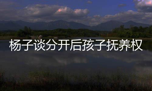 楊子談分開(kāi)后孩子撫養(yǎng)權(quán)問(wèn)題，聚焦親子未來(lái)，共筑成長(zhǎng)之路