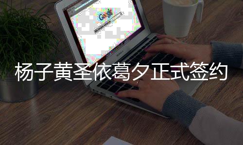楊子黃圣依葛夕正式簽約蜂群，共同開啟全新篇章
