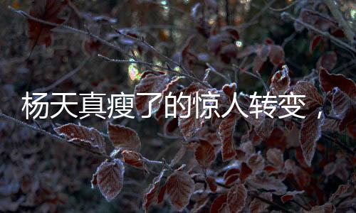 楊天真瘦了的驚人轉(zhuǎn)變，從體態(tài)重塑到人生新篇章