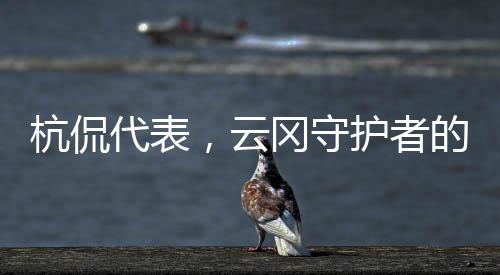 杭侃代表，云岡守護者的年度記錄