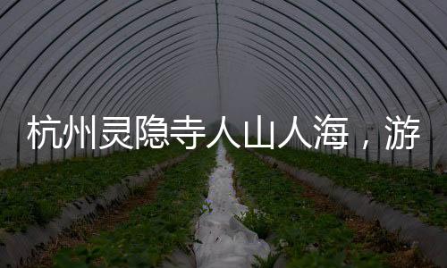 杭州靈隱寺人山人海，游客紛至沓來(lái)，感受千年古剎的魅力
