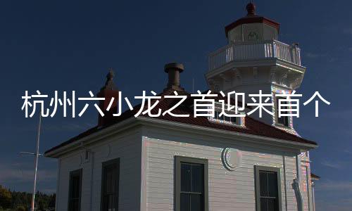 杭州六小龍之首迎來首個IPO申請，科技產(chǎn)業(yè)持續(xù)蓬勃發(fā)展新篇章