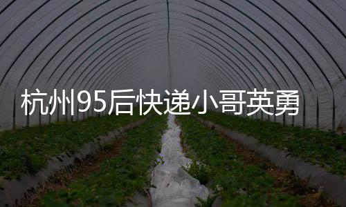 杭州95后快遞小哥英勇守護(hù)老人巨額財(cái)物，展現(xiàn)新時(shí)代正能量