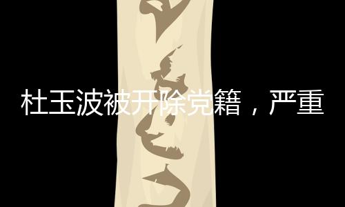 杜玉波被開(kāi)除黨籍，嚴(yán)重違紀(jì)違法行為的警示與反思